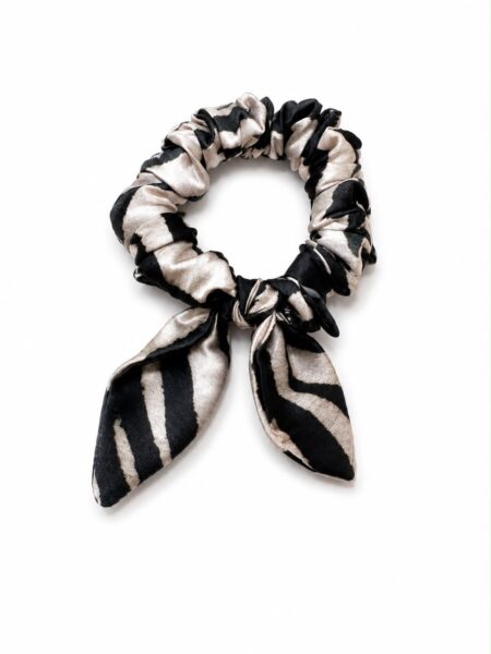 Motylek zebra