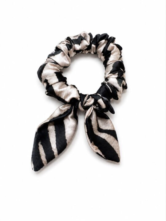 Motylek zebra
